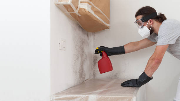 Professional Basement Mold Remediation technician working in Sharpsburg, MD